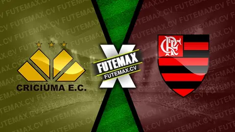 Assistir Criciúma x Flamengo ao vivo 04/12/2024 grátis