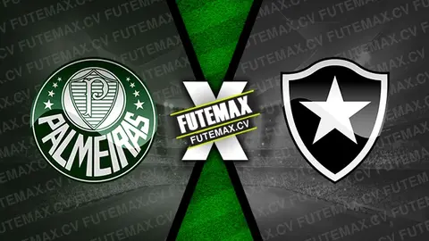 Assistir Palmeiras x Botafogo ao vivo HD 22/10/2024 grátis