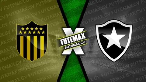 Assistir Peñarol x Botafogo ao vivo 30/10/2024 grátis