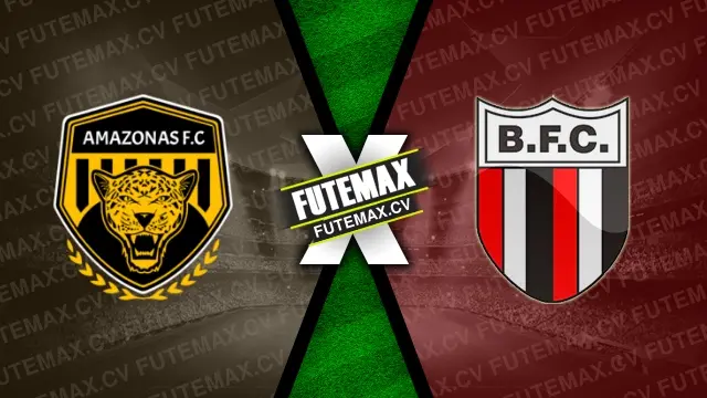 Assistir Amazonas x Botafogo-SP ao vivo online 29/10/2024