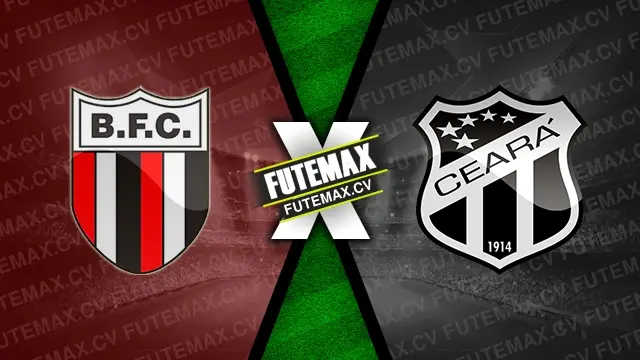 Assistir Botafogo-SP x Ceará ao vivo 12/11/2024 online