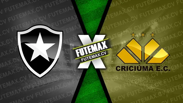 Assistir Botafogo x Criciúma ao vivo online HD 18/10/2024