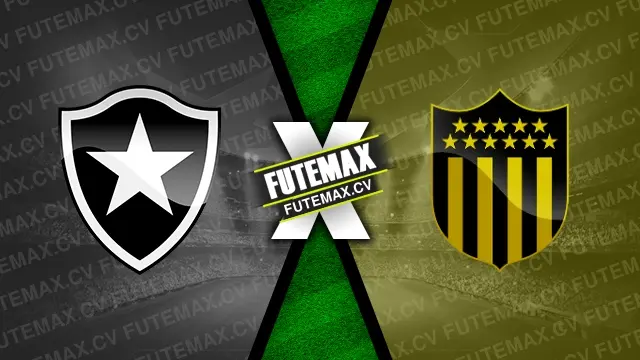 Assistir Botafogo x Peñarol ao vivo online 23/10/2024