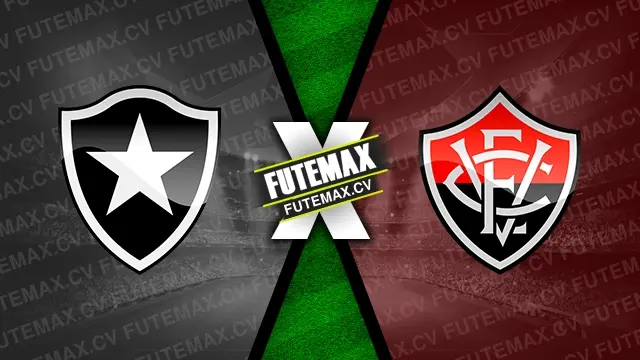 Assistir Botafogo x Vitória ao vivo online 23/11/2024