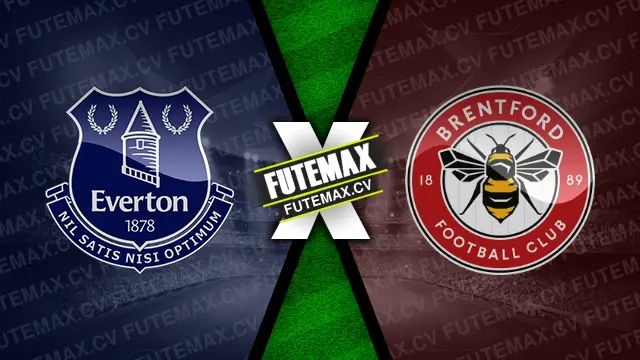 Assistir Everton x Brentford ao vivo 23/11/2024 grátis