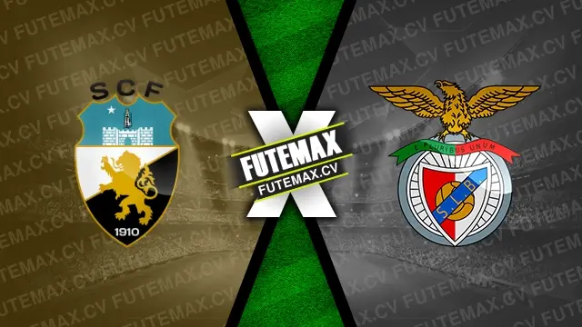 Assistir Farense x Benfica ao vivo online HD 02/11/2024