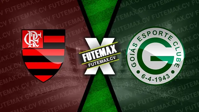 Assistir Flamengo x Goiás ao vivo HD 23/10/2024 grátis