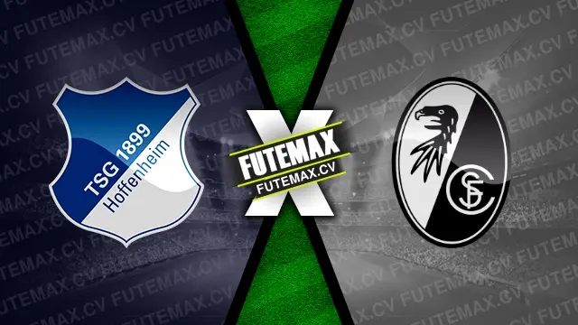 Assistir Hoffenheim x Freiburg ao vivo online HD 08/12/2024