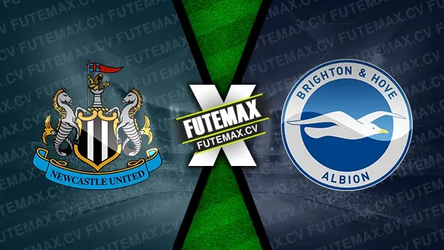 Assistir Newcastle x Brighton ao vivo HD 19/10/2024